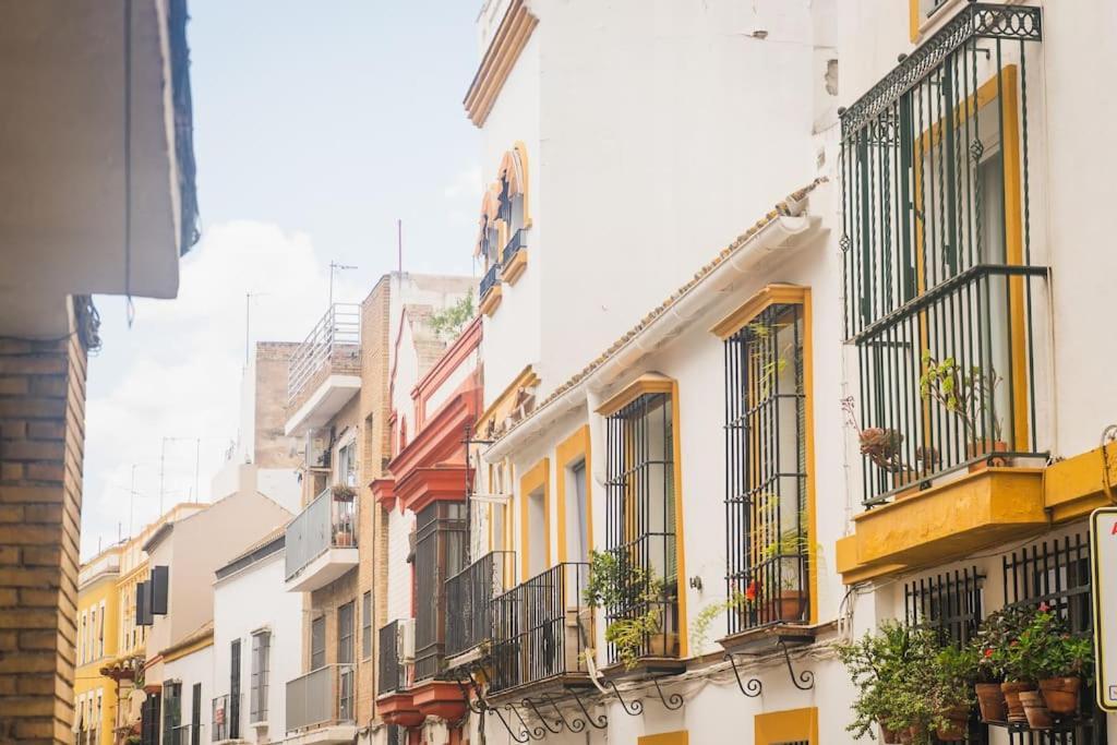 Estudio A Estrenar En Sta Clara Sevilla Buitenkant foto