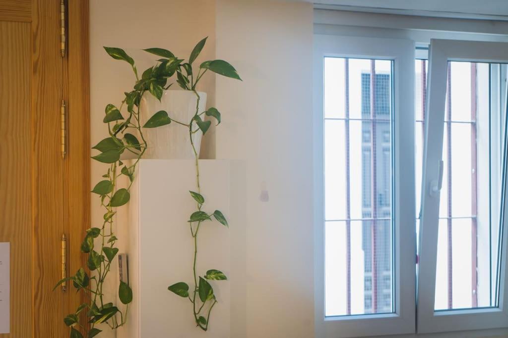 Estudio A Estrenar En Sta Clara Sevilla Buitenkant foto